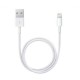 Official Apple 5W iPhone 12 Pro Max Charger & 1m Cable Bundle